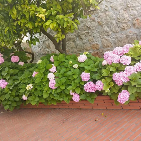 Villa Katarina-2